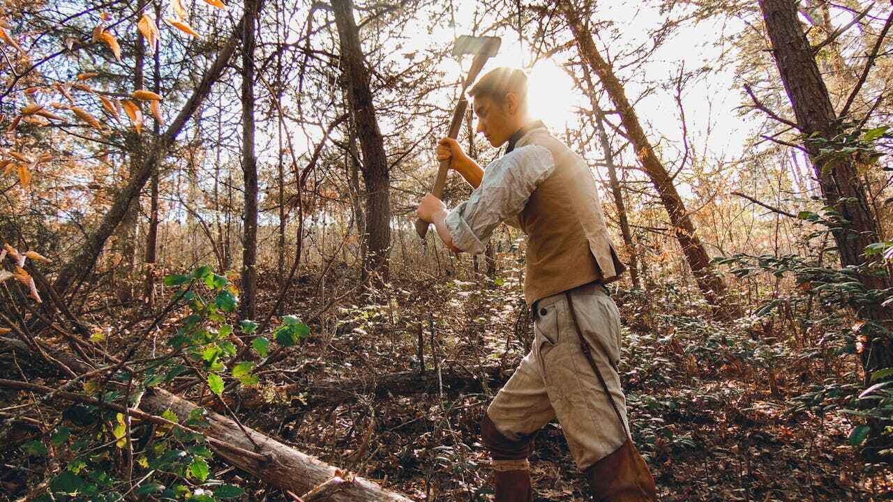 Professional Tree Service in Grain Valley, MO